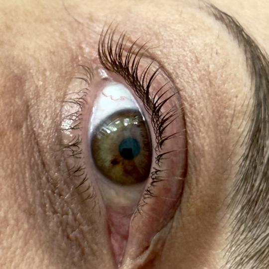 Lola esthetic center #beograd Trepavice Lash lift