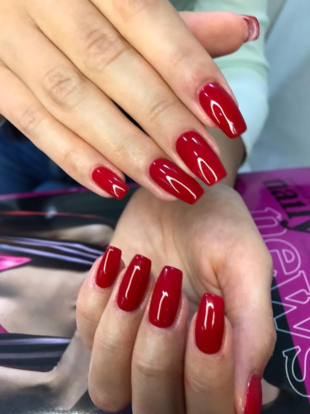 Pronails Premium - Belvil #beograd