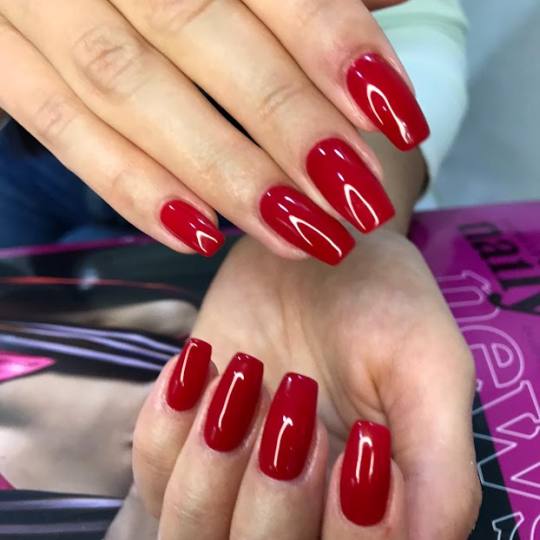 Pronails Premium - Belvil #beograd