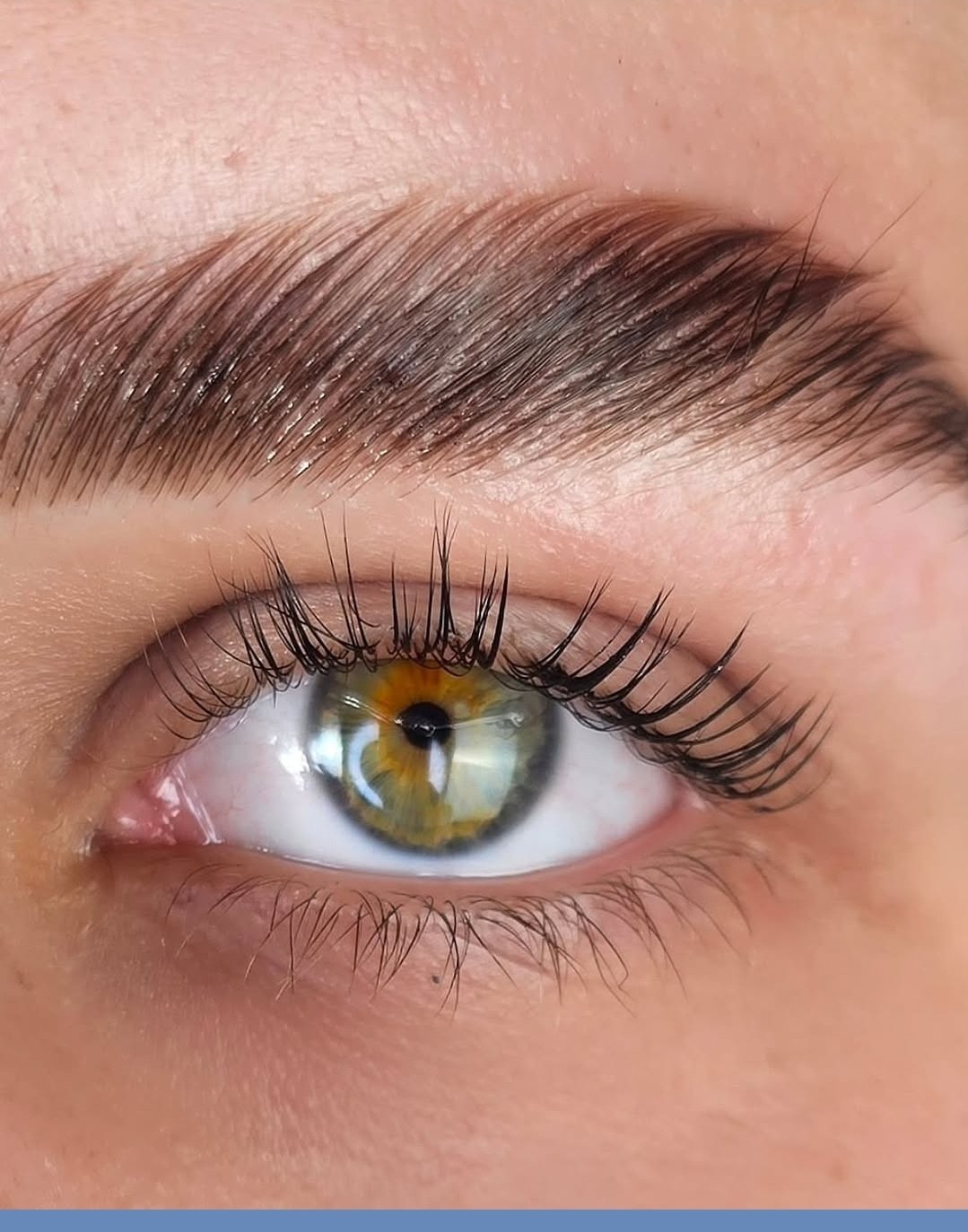 Esthetique Privé #beograd Obrve Brow lift + lash lift + farbanje obrva i trepavica