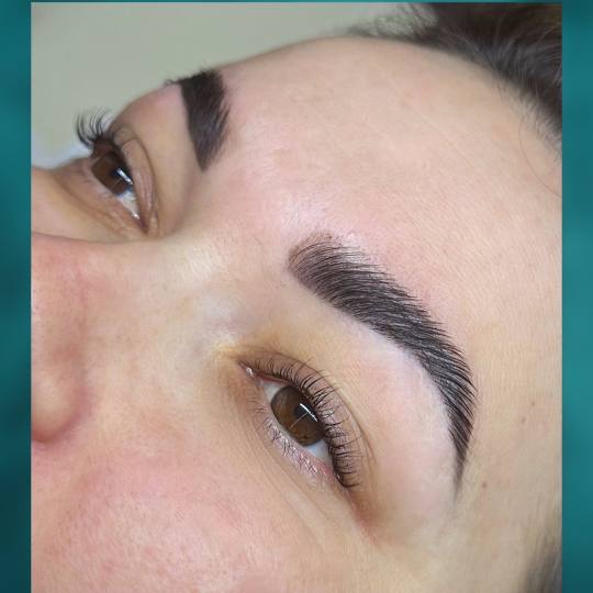 AnMi #novisad Obrve Brow lift