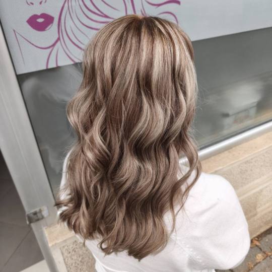 M Studio 0303 - Vojvode Bojovića #novisad