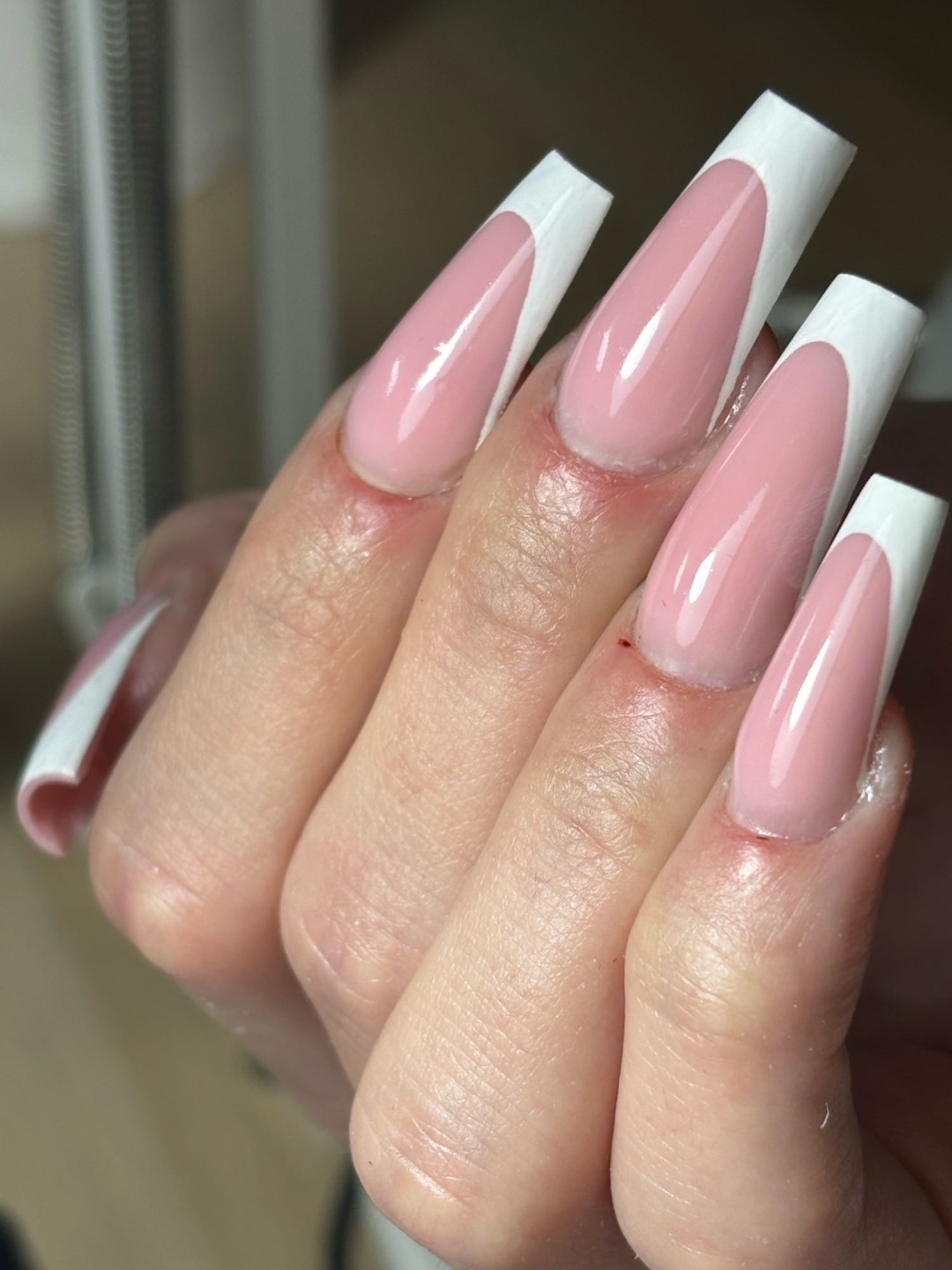 Frančeska beauty studio #novisad
