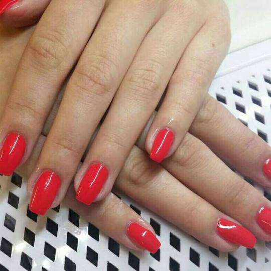 Unique Touch #beograd Manikir Manikir + gel lak french lak gel