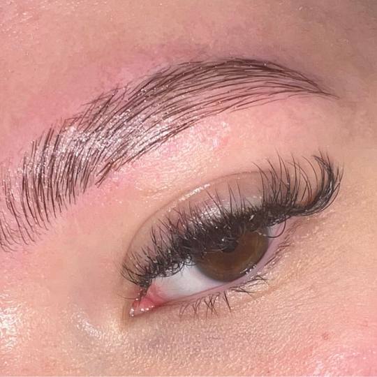 Persefona beauty #beograd Obrve Brow lift + oblikovanje + farbanje obrva