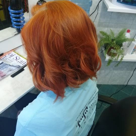 Candy S #novisad Farbanje kose Farbanje cele dužine - kosa srednje dužine + feniranje