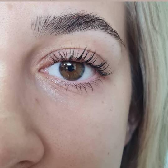 Beauty Biblioteka #novisad Trepavice Lash lift