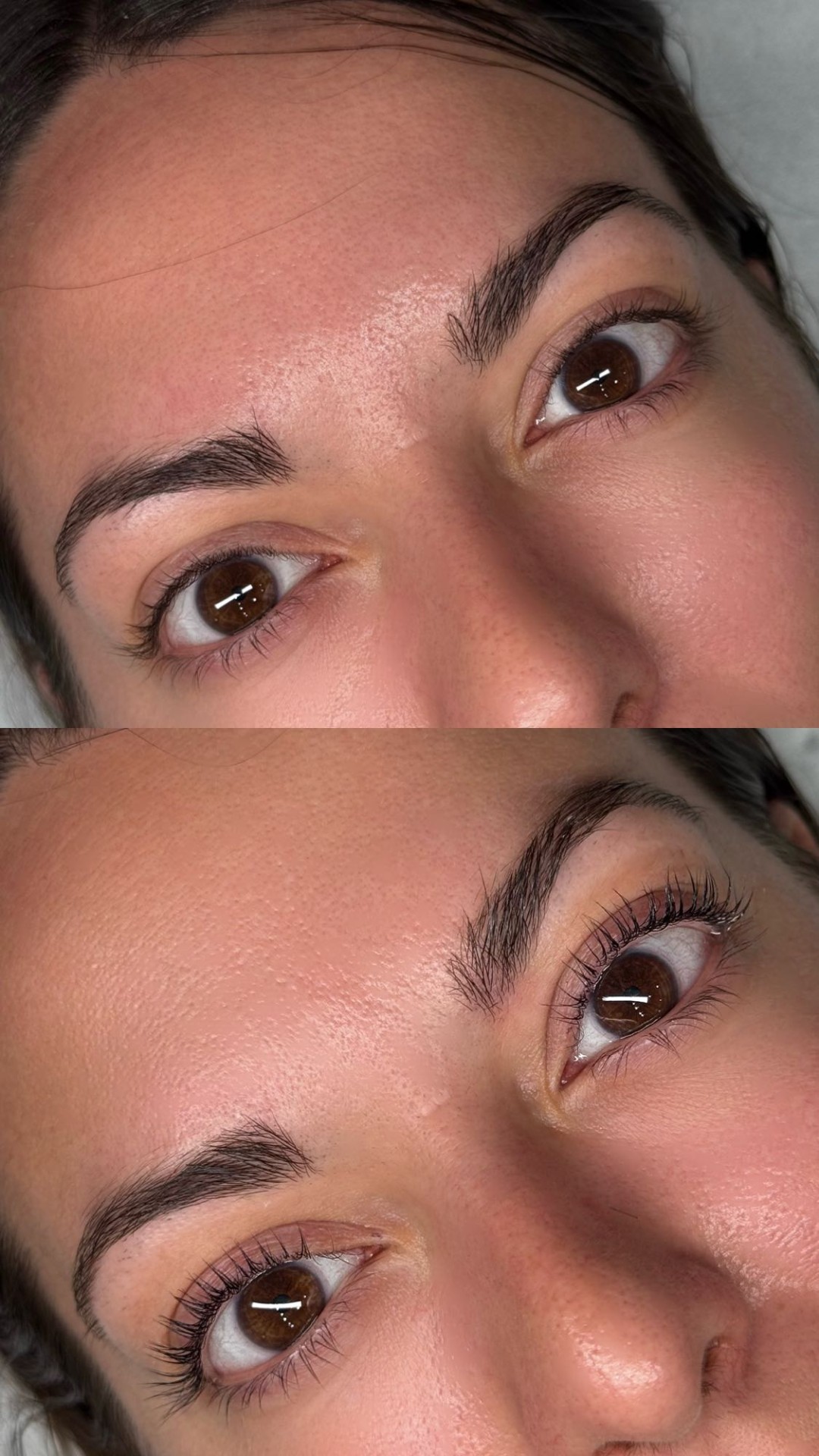 Alexandria Brow&Beauty lounge #beograd Trepavice Lash lift