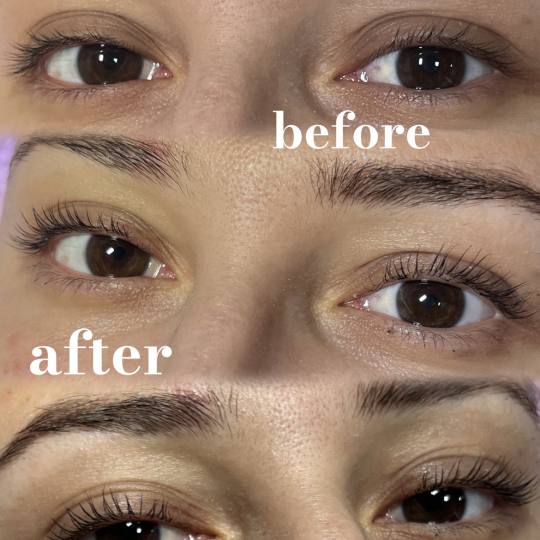 Artist Alex Studio #nis Trepavice Lash lift Sa farbanjem trepavica