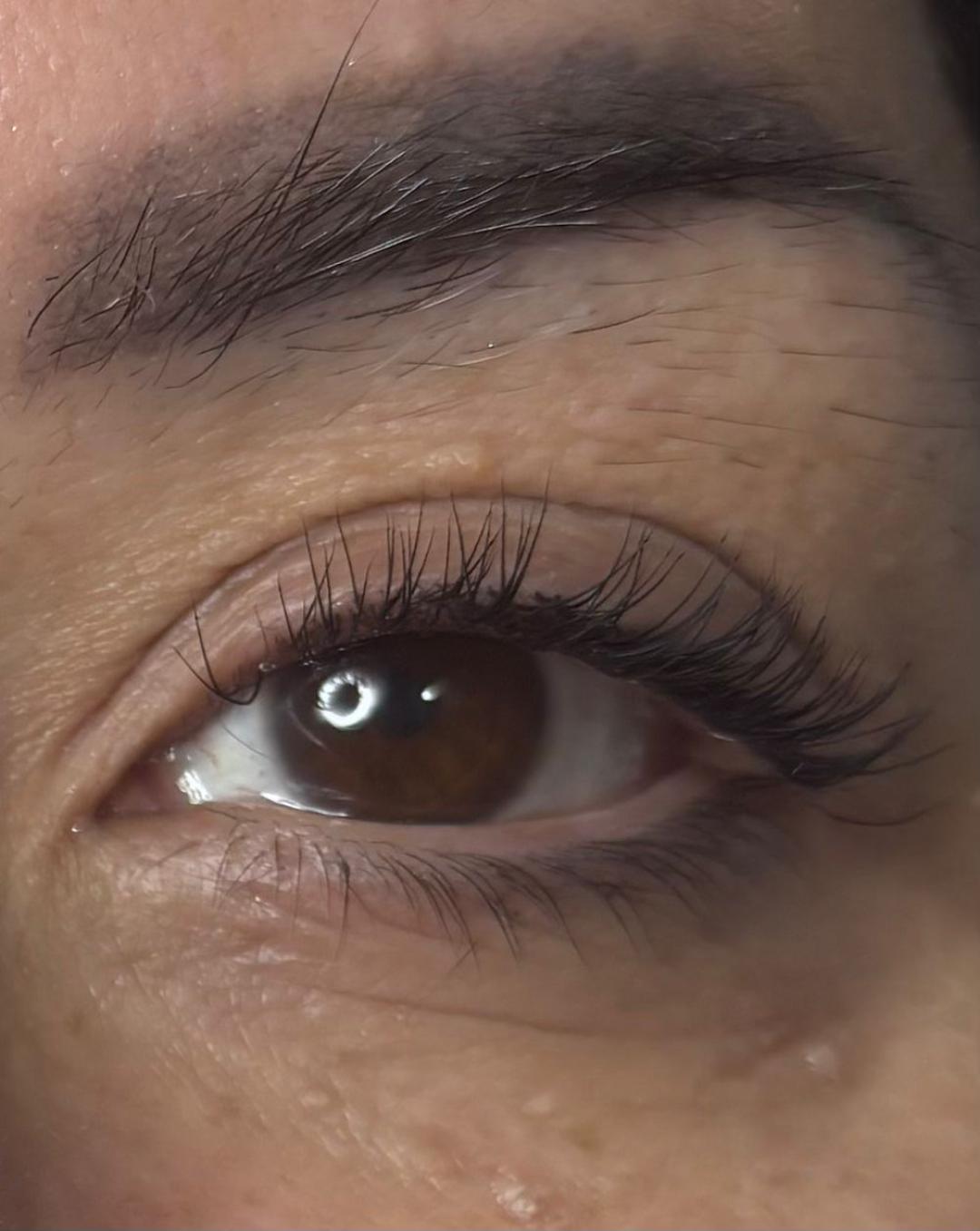 Angels #novisad Obrve Nadogradnja trepavica 1:1