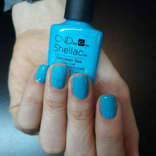 Bonar #beograd Manikir Manikir + shellac