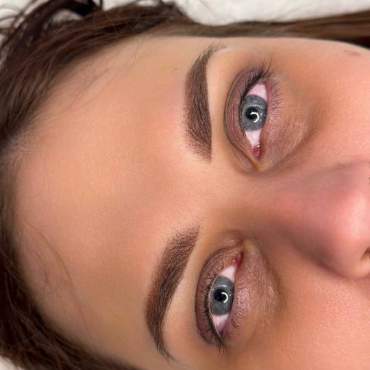 Ven Anita Studio #ada Obrve Puder obrve