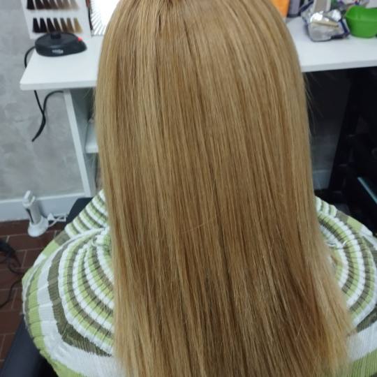 Shiny Look Gordina #nis