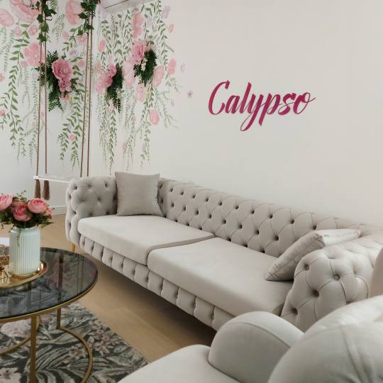 Calypso beauty house #beograd Prostor da uživate u kafi🌸