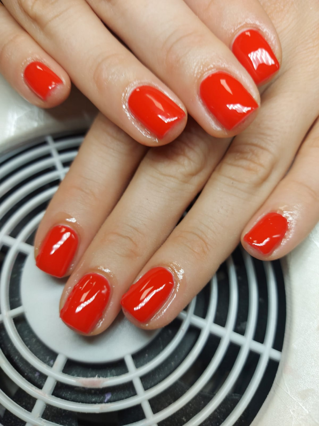 Topaz Beauty, Beograd Gel lak