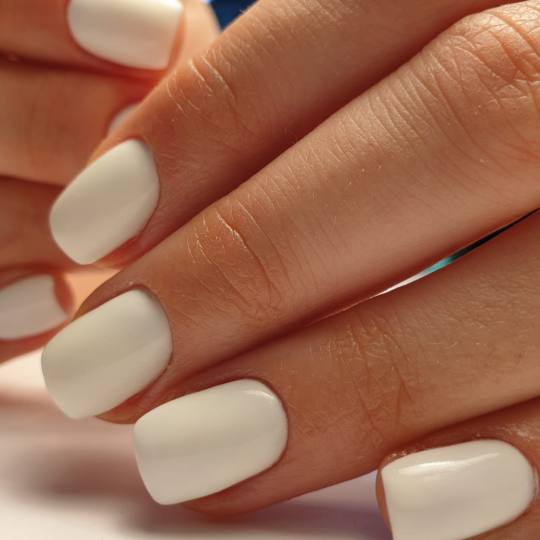 Kalax Studio Lepote #beograd Gel lak Gel lak (rubber baza) - M dužina