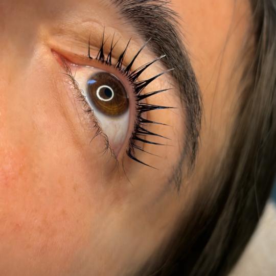 Almari Beauty Concept #kragujevac Trepavice Lash lift