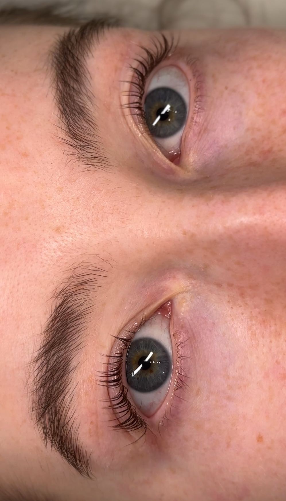 Alexandria Brow&Beauty lounge #beograd Trepavice Lash lift