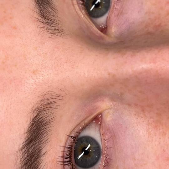 Alexandria Brow&Beauty lounge #beograd Trepavice Lash lift