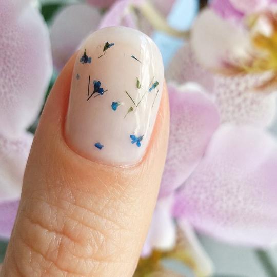 Vanilla rain beauty - Banovo brdo usluga