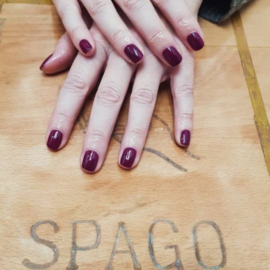 Spago usluga