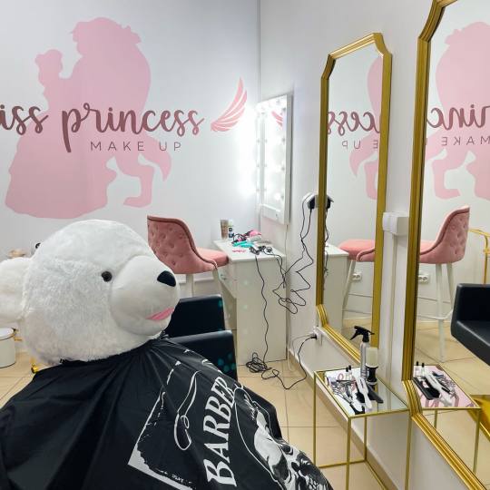 Miss Princess Make up - Konjarnik #beograd