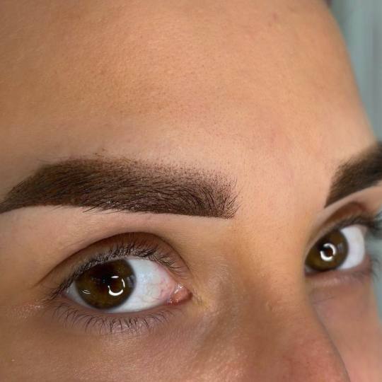 Frida beautycare #jagodina Trajna šminka Trajna šminka obrva