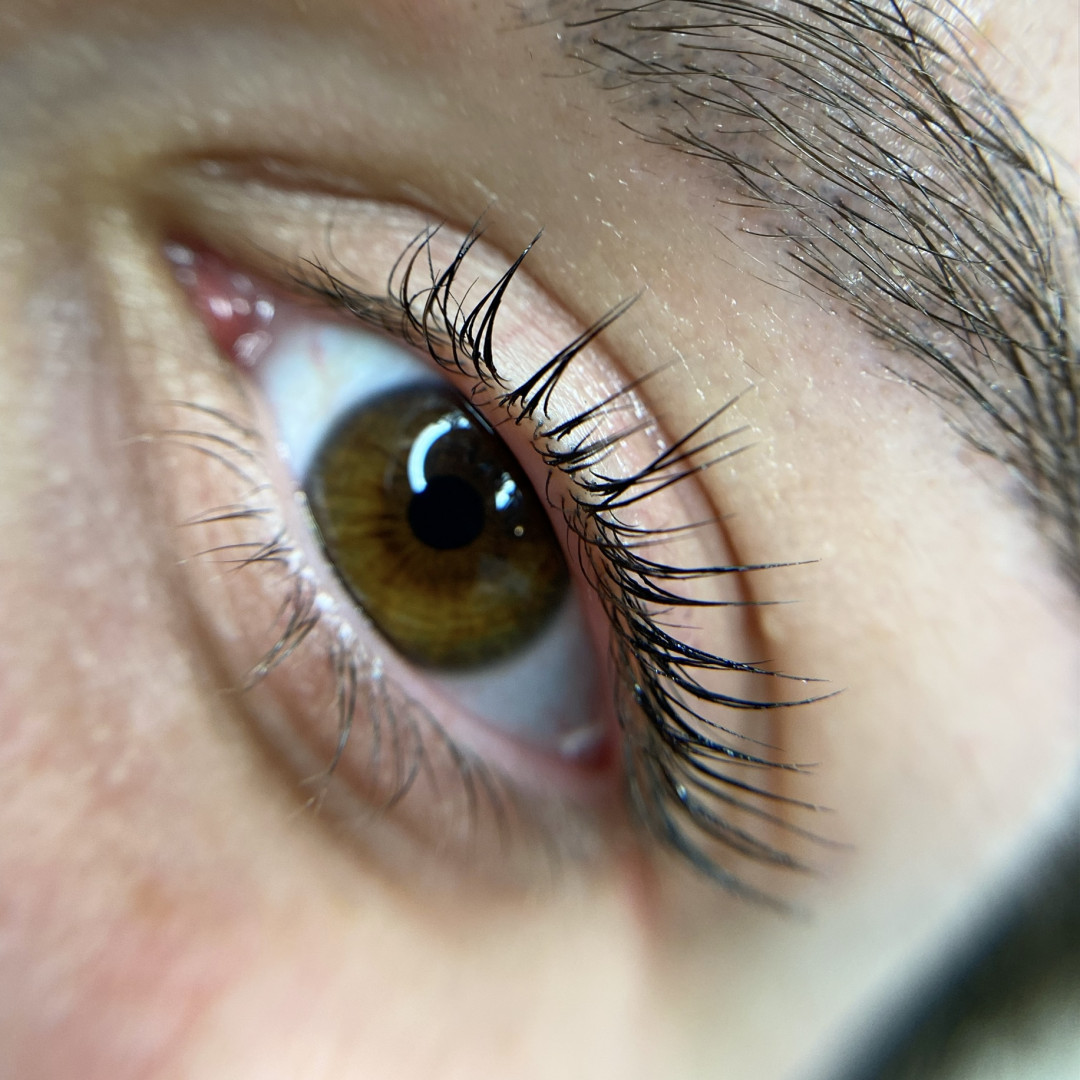 Elite Studio Piccolo #beograd Trepavice Lash lift + botox + farbanje
