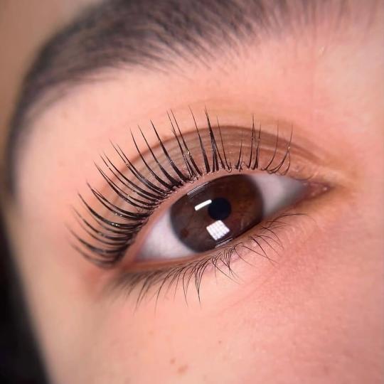 AmiSo Beauty Studio #novisad Trepavice Laminiranje trepavice