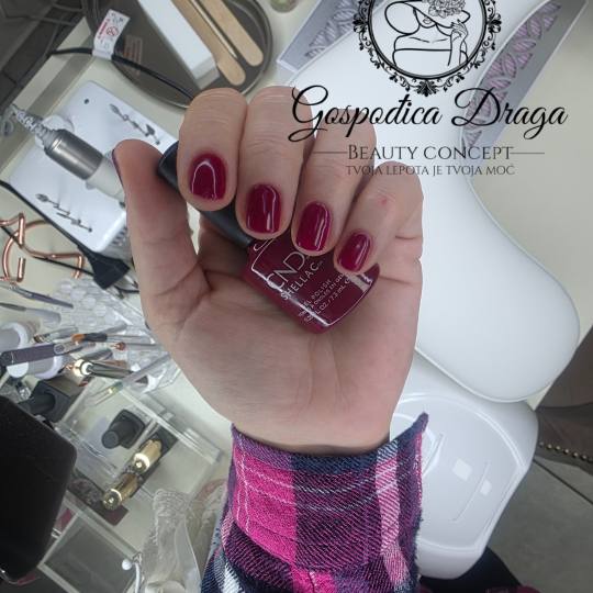 Gospođica Draga usluga