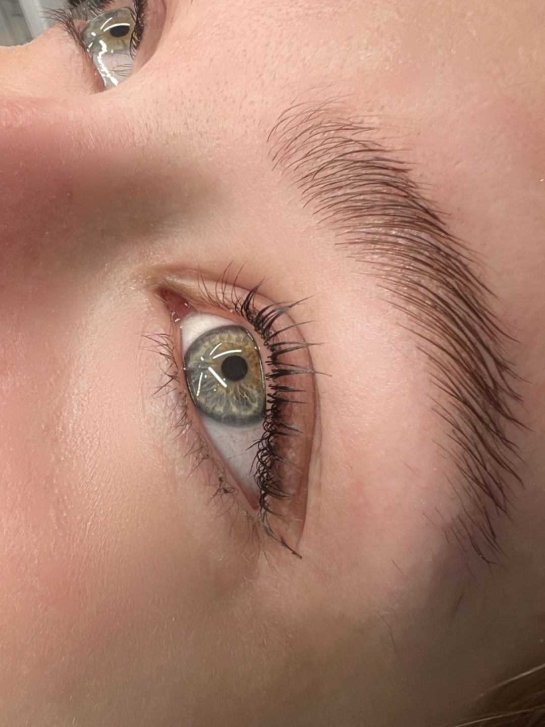 Alexandria Brow&Beauty lounge #beograd Trepavice Lash lift + brow lift
