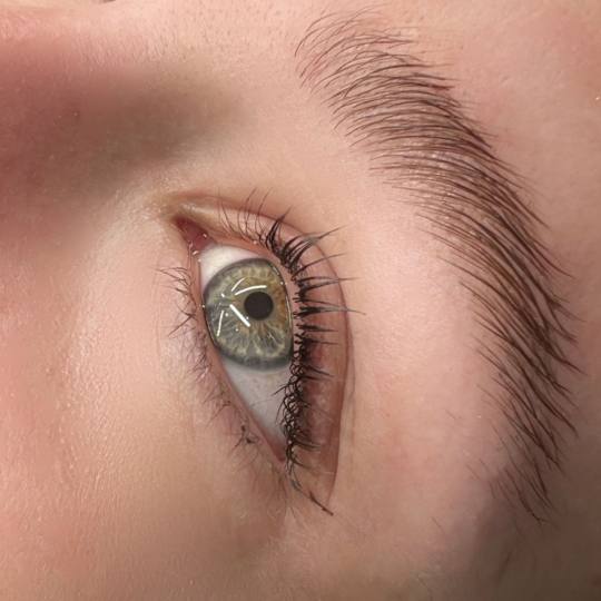 Alexandria Brow&Beauty lounge #beograd Trepavice Lash lift + brow lift