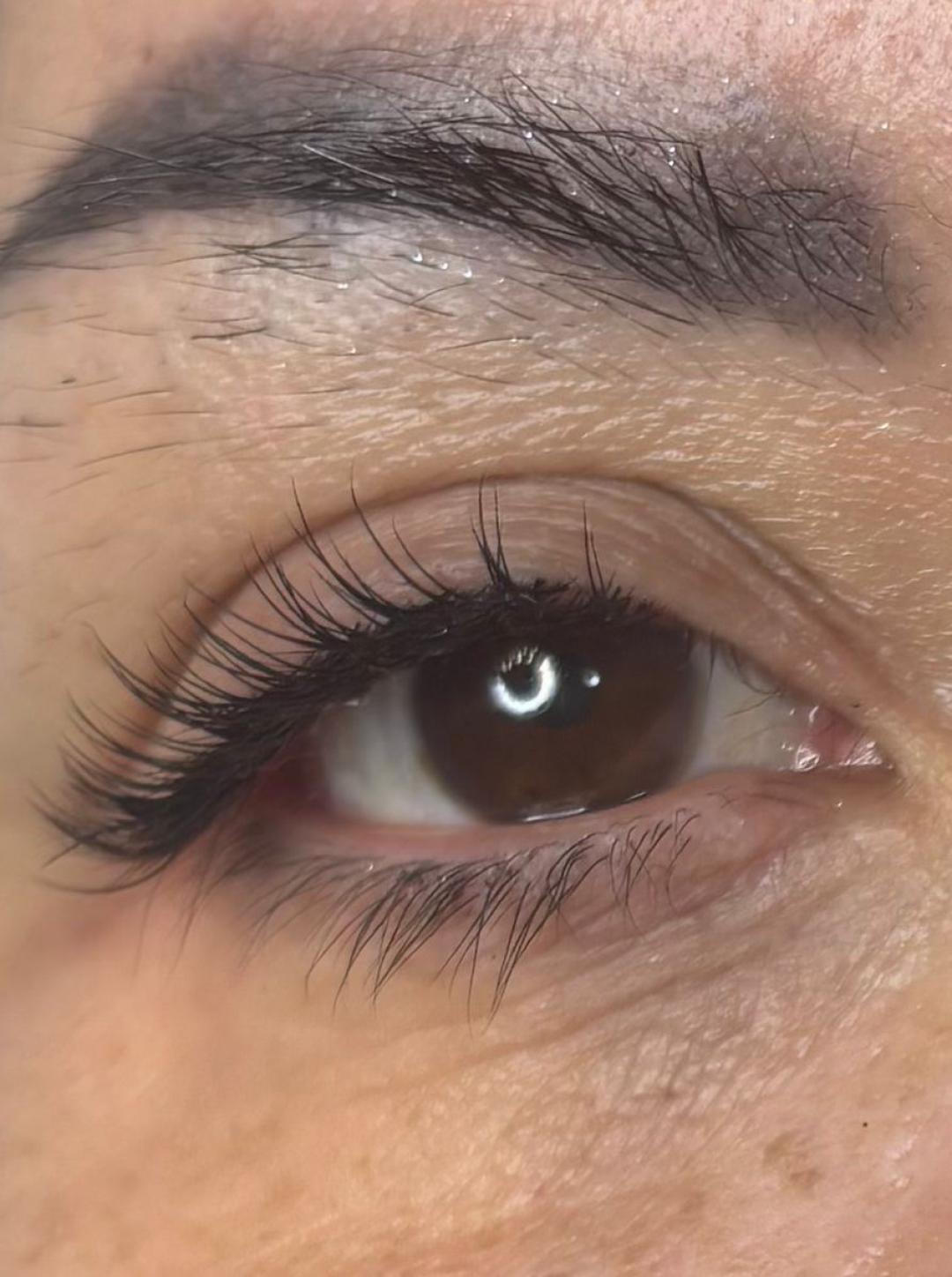 Angels #novisad Obrve Skidanje starog rada i nadogradnja trepavica 1:1