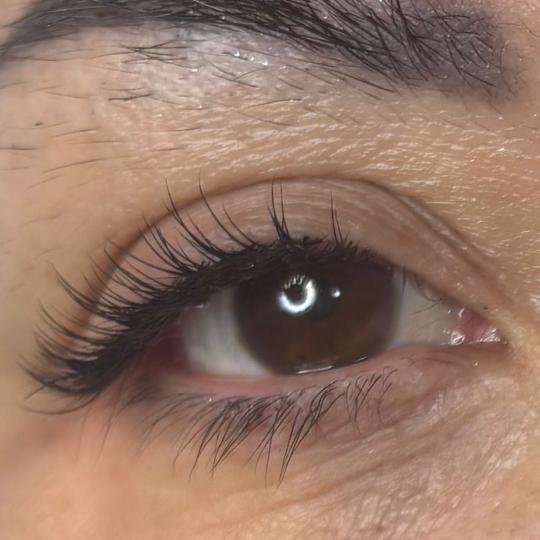 Angels #novisad Obrve Skidanje starog rada i nadogradnja trepavica 1:1