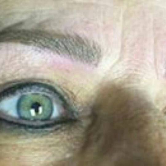 Inter esthetic academy #beograd Trajna šminka alajner i obrve Japansko iscrtavanje obrva + prva kor