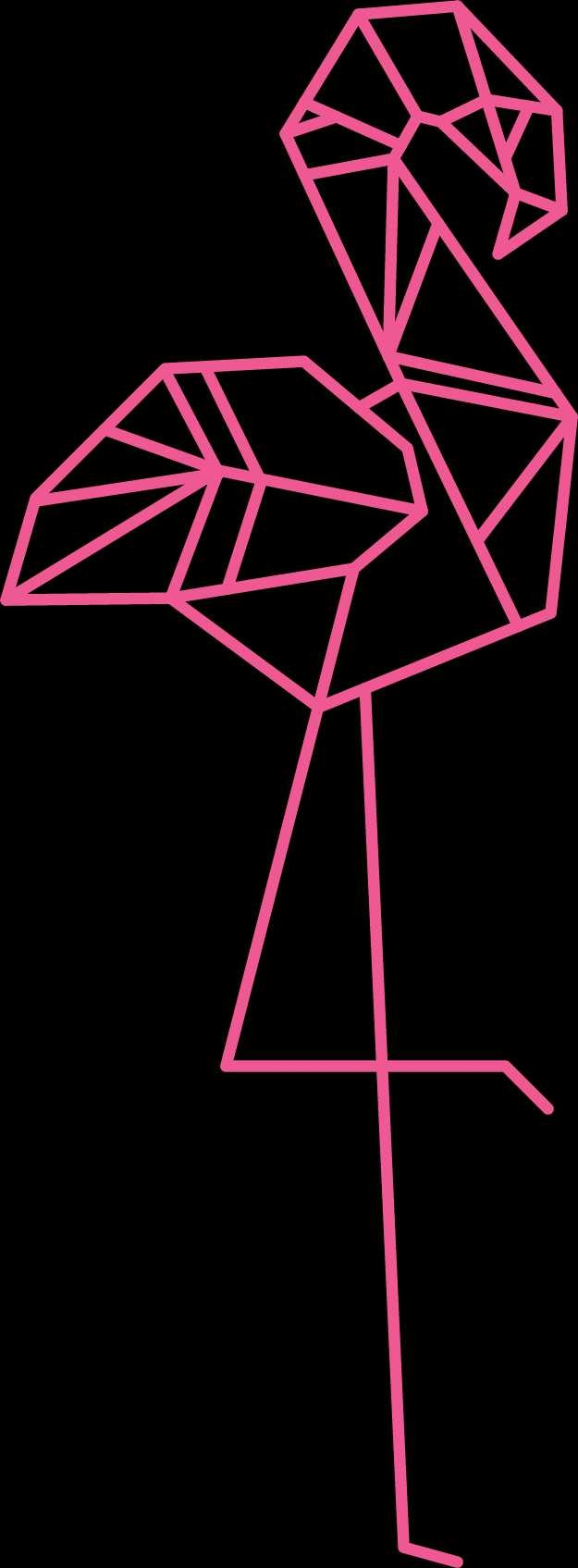Flamingo 2020 #beograd