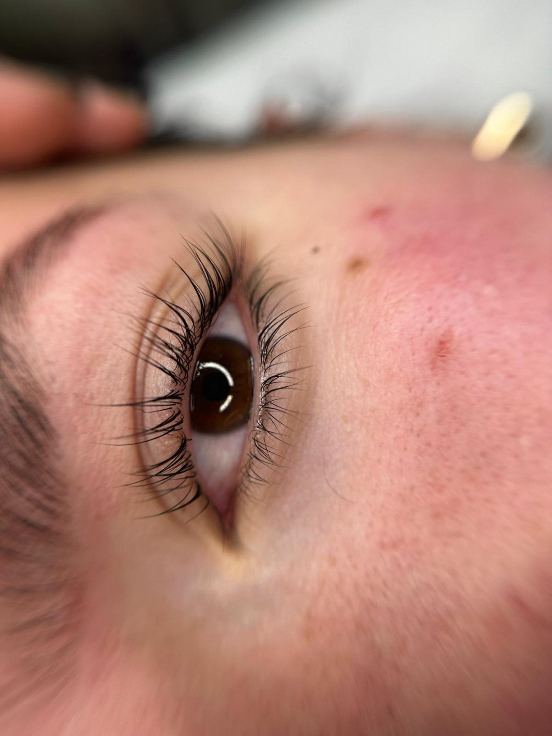 Alexandria Brow&Beauty lounge #beograd Trepavice Lash lift