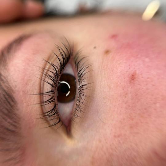 Alexandria Brow&Beauty lounge #beograd Trepavice Lash lift