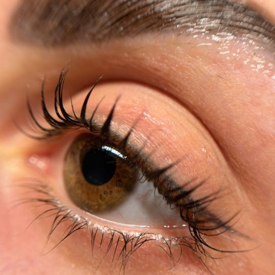 Aora #novisad Trepavice Lash lift