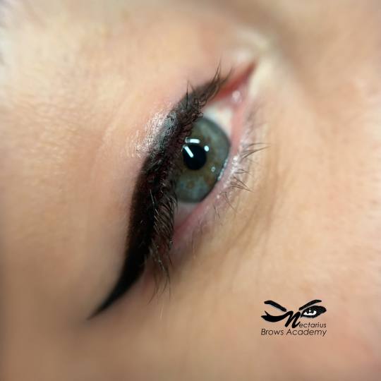 Nectarius Brows Academy #kragujevac Trajna šminka Trajna šminka kapaka + korekcija nakon mesec dan