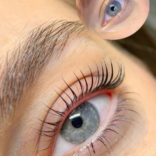 Xenija Beauty Room #beograd Trepavice Lash lift bez farbanja