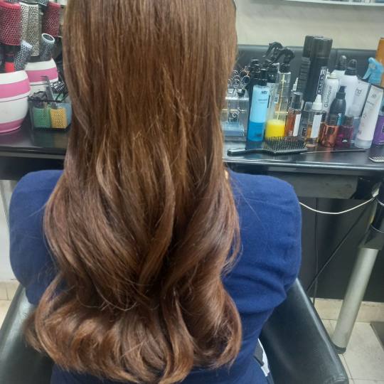 Royal cut - No Limit #beograd