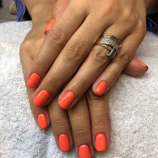 Bibi beauty centar #beograd Gel lak Gel lak - ruke gel lakovi u novim prolecnim nijansama