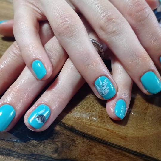 IQ aesthetic #beograd Gel lak Gel lak - ruke