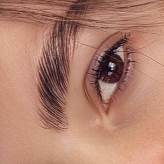 Esthetique Privé #beograd Obrve Brow lift +farbanje obrva+ botox