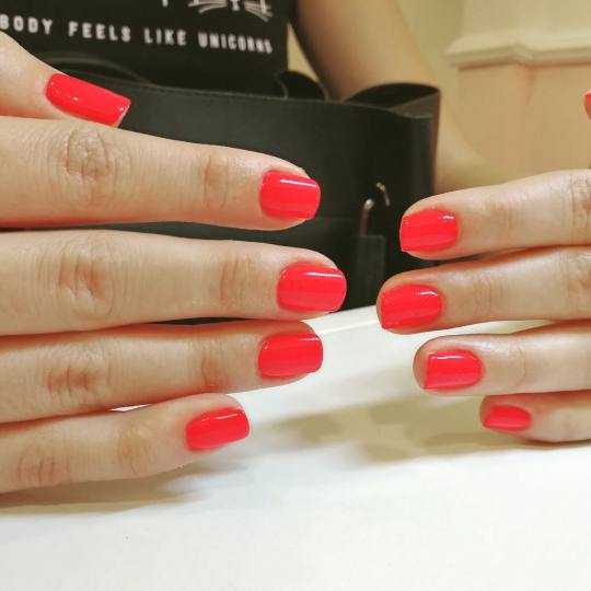 Afrodita Beauty studio #beograd Gel lak