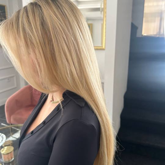Esthetique Privé #beograd Pramenovi GOLDWELL Površinski pramenovi + preliv + feniranje - duga kosa