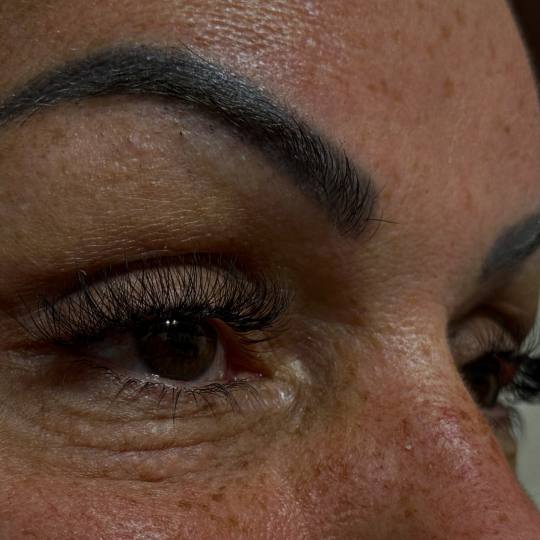 Mega Sun - Rakovica usluga