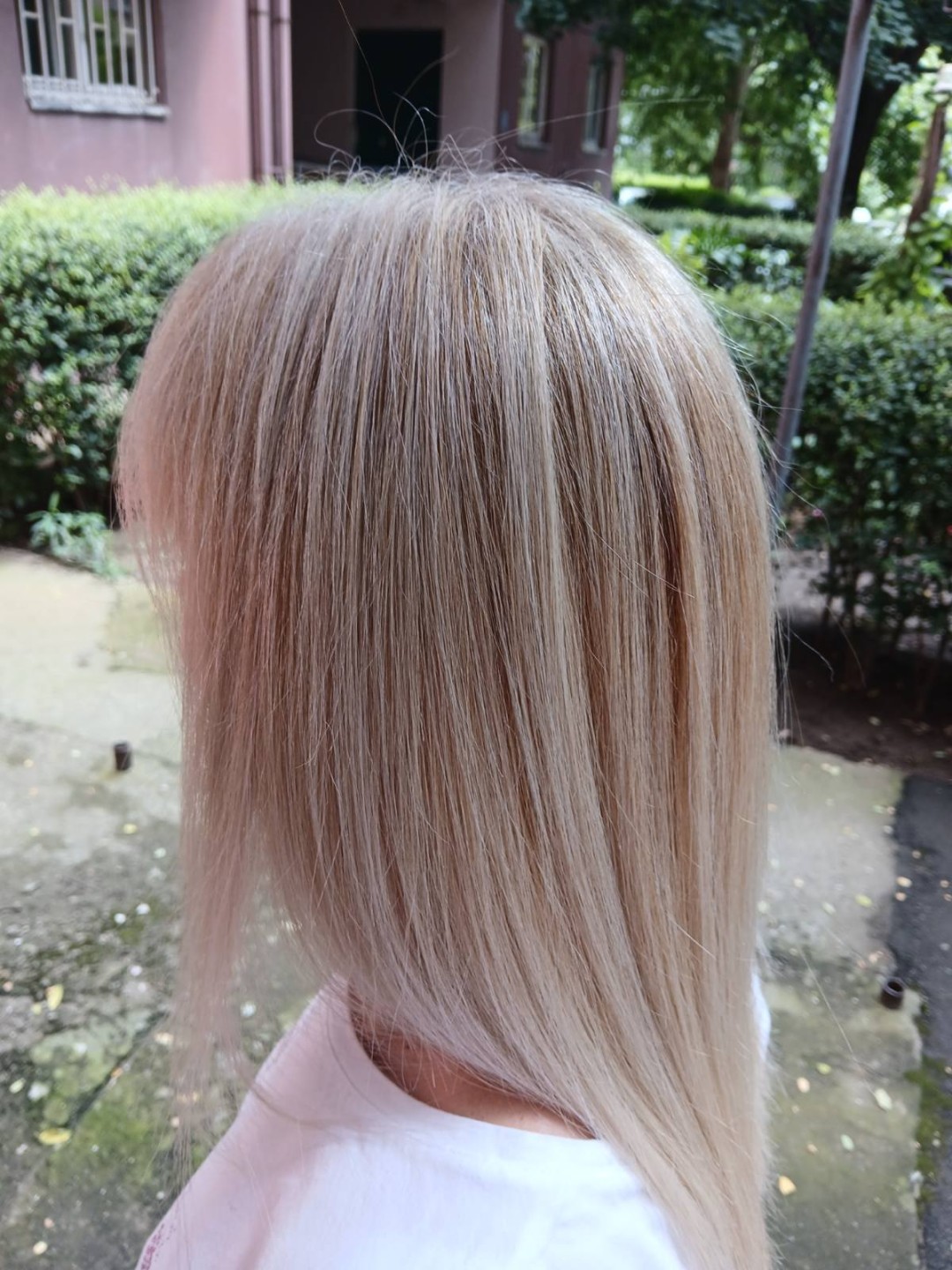 Sv. Mina, Beograd LookBook