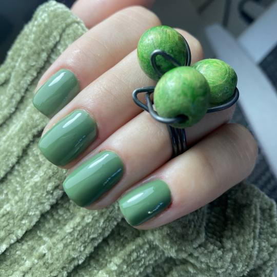 Frančeska beauty studio #novisad